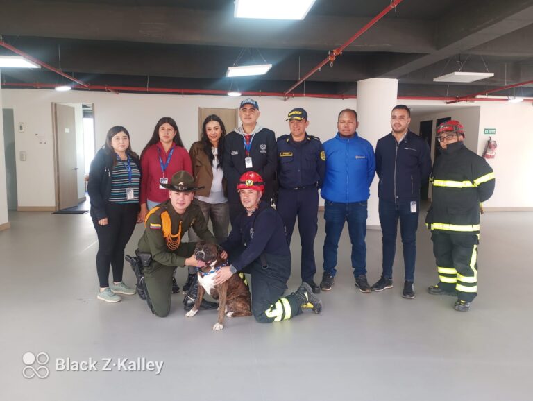 Caso de maltrato animal en conjunto residencial