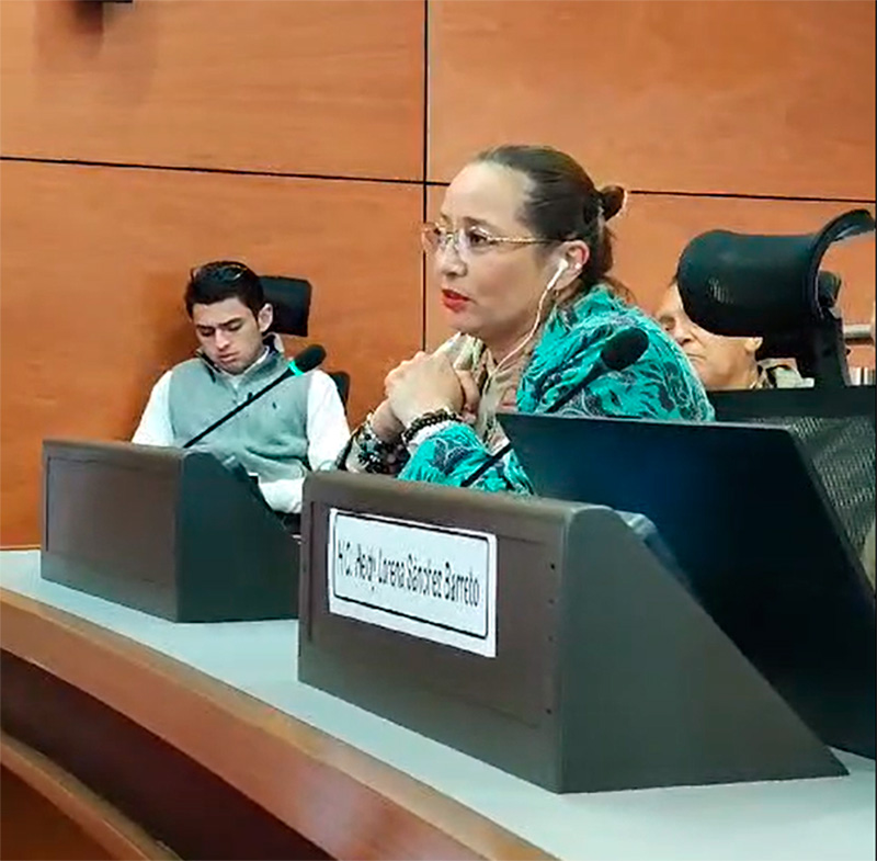 nancy Espinoza - Participación en foros